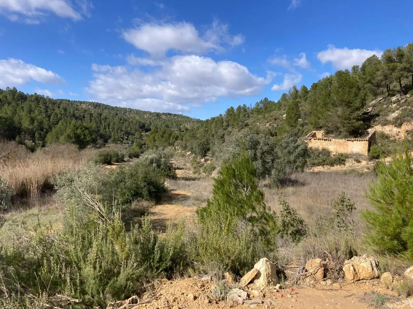 Terreni e lotti in vendita a Arens de Lledó, imagen 6