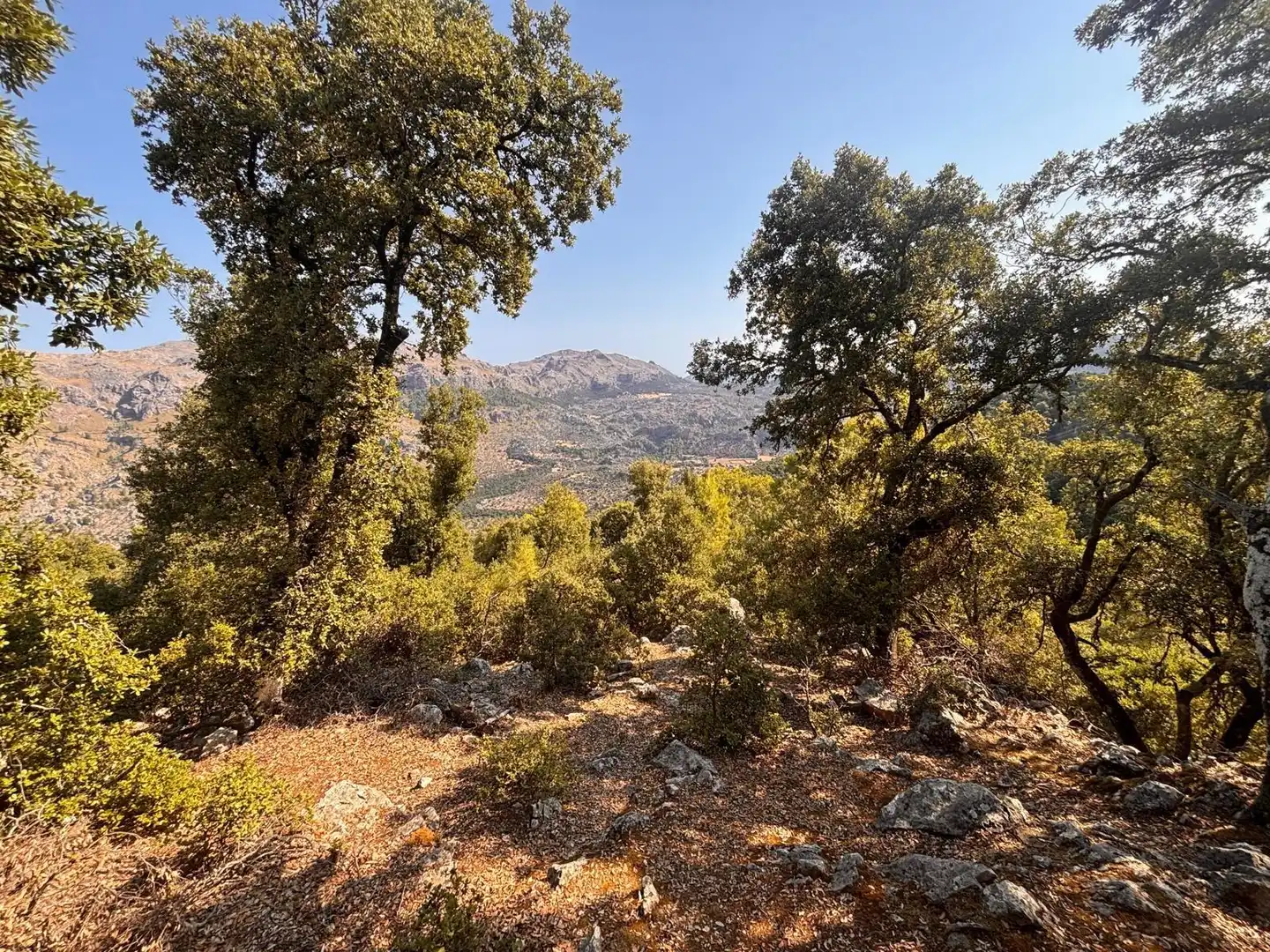 Country homes for sale in Escorca  with Private garden and Terrace