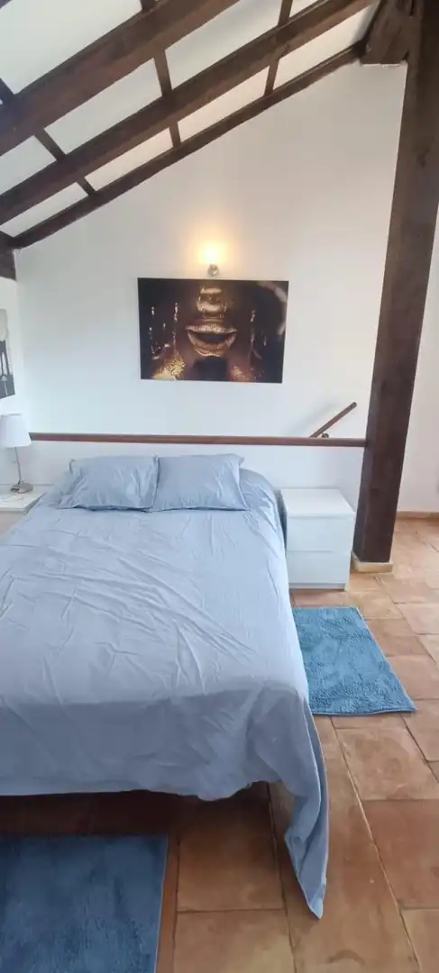 Inmuebles singulares en venta en Plaza Mayor - San Agustín, imagen 16