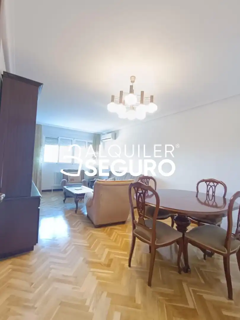Living room of Flat for rent in Madrid  with Air Conditioner, Heating and Terrace