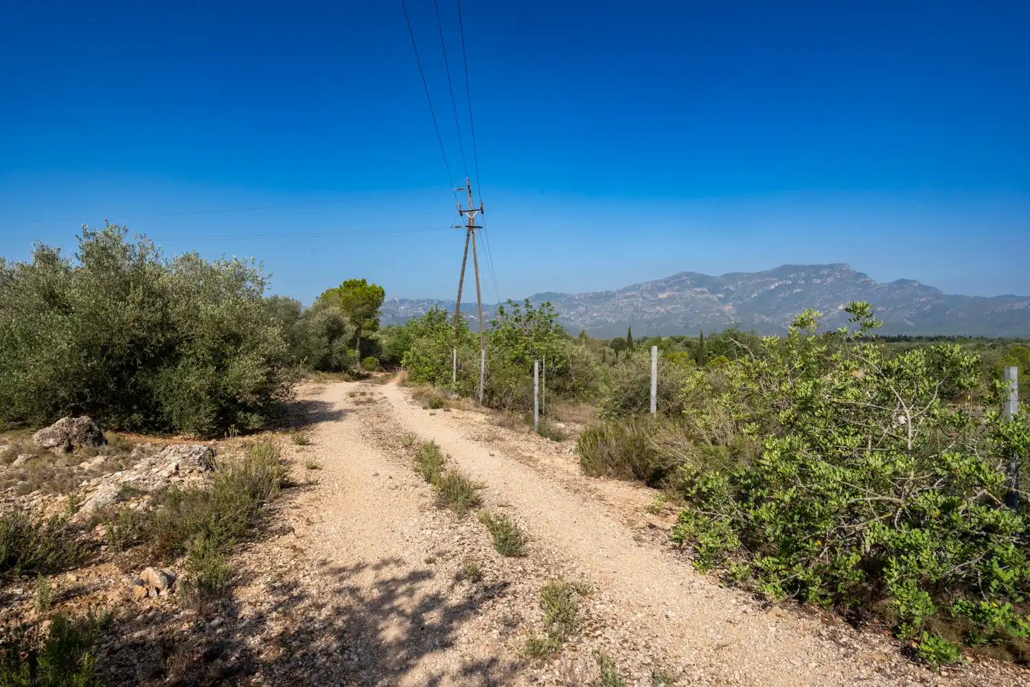 Rural land for sale in Vinallop, imagen 9