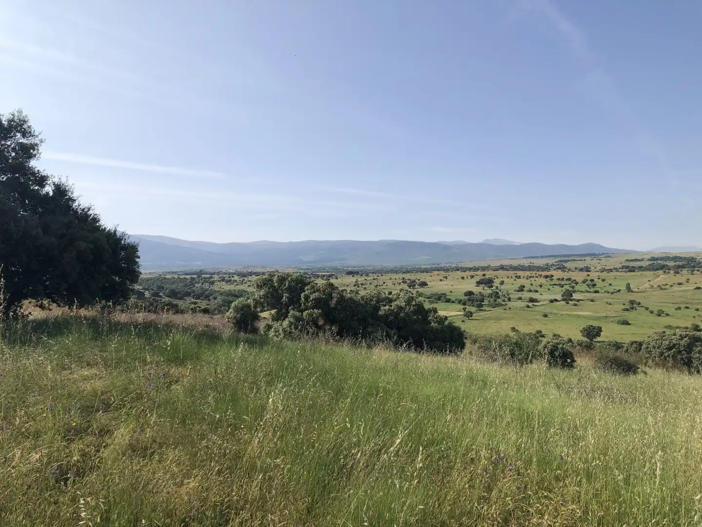 Terreni e lotti in vendita a Pelayos del Arroyo, imagen 12