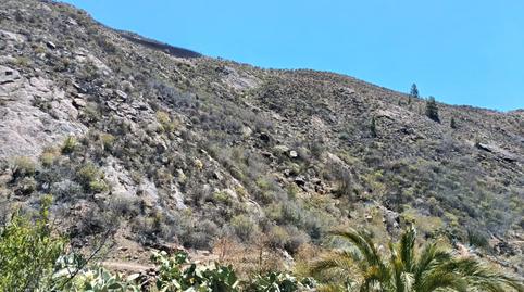 Foto 3 de Finca rústica en venta en Calle las Moradas, Artenara, Las Palmas