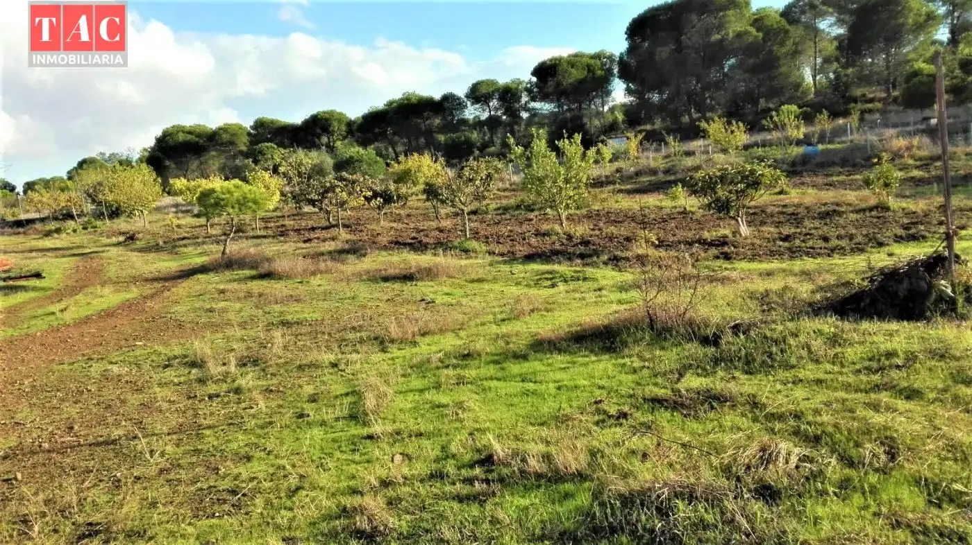 Casa rústica amb jardí en venda a Lepe, imagen 5