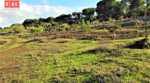 FINCA CON CASA, imagen 5