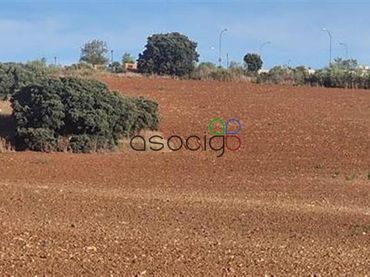 Terreno rústico en venta en 515
