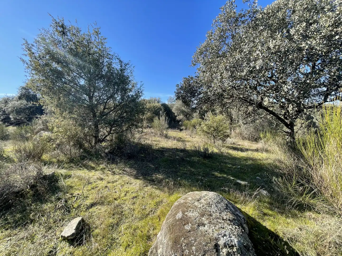 Terreni e lotti in vendita a Fresnedilla, imagen 8