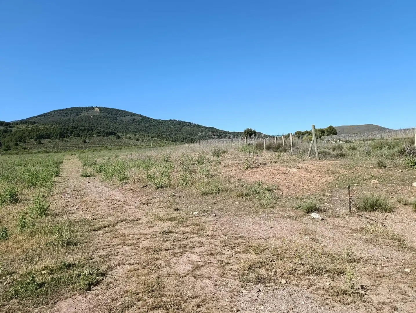 Rural land for sale in Laujar de Andarax, imagen 24