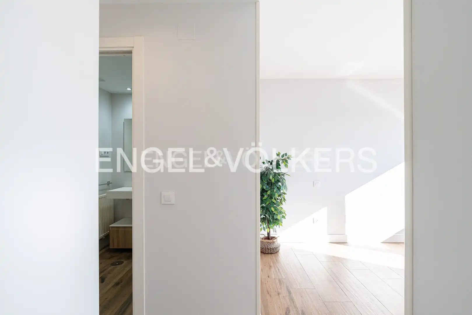 Appartement avec terrasse à louer à Casco Antiguo, imagen 14