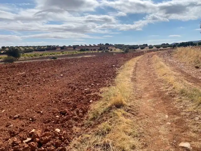 Terreny rústic en venda a Sonseca, imagen 7