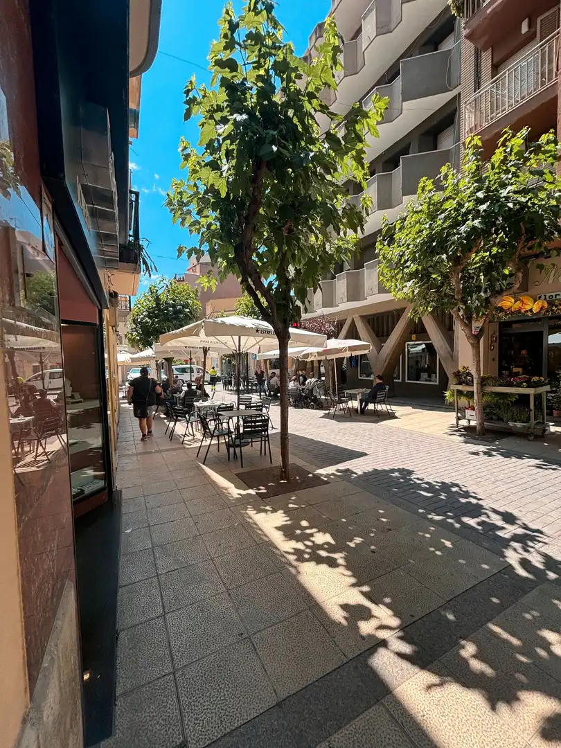 Appartement avec terrasse à vendre à Avinguda de Catalunya, imagen 16