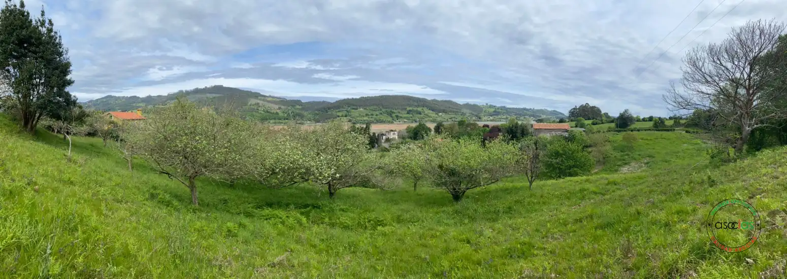 Terreno rustico in vendita a Villaviciosa - AL MUSLERA, imagen 2
