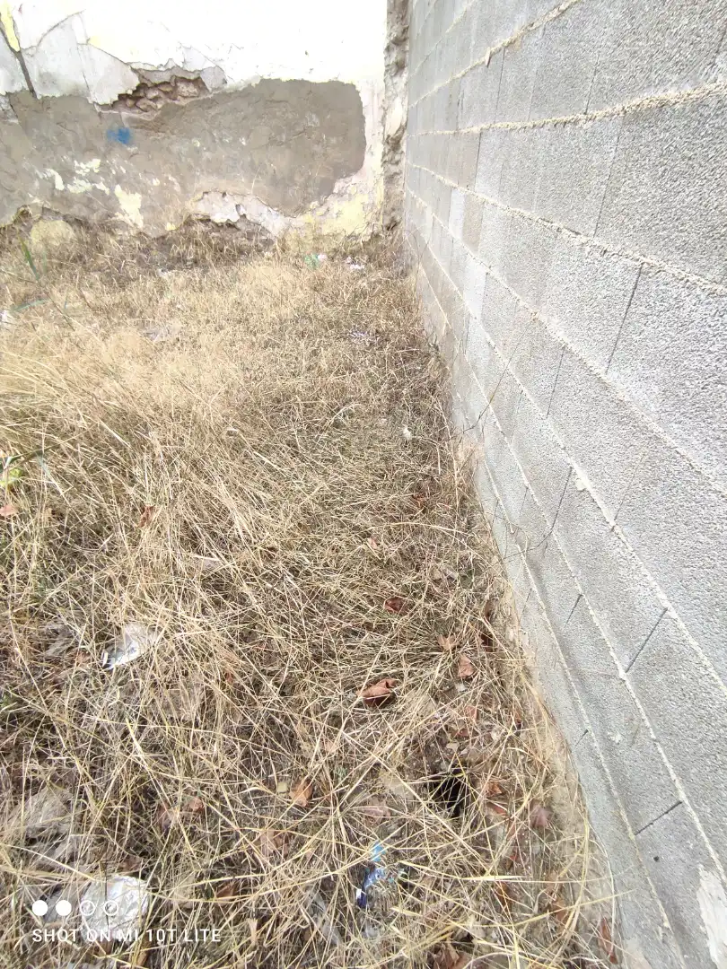 Terreno residencial en venta en Elche ciudad, imagen 3