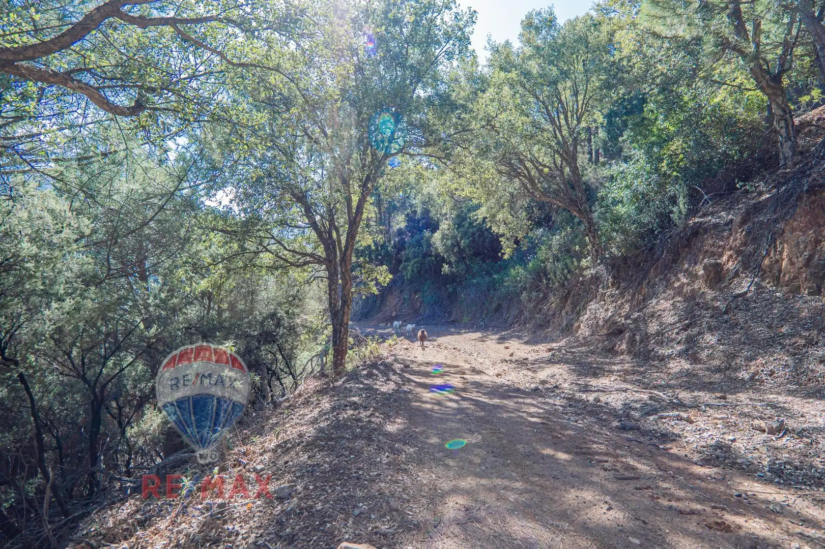 Vista exterior de Finca rústica en venta en Jubrique con Jardín privado, Terraza y Piscina