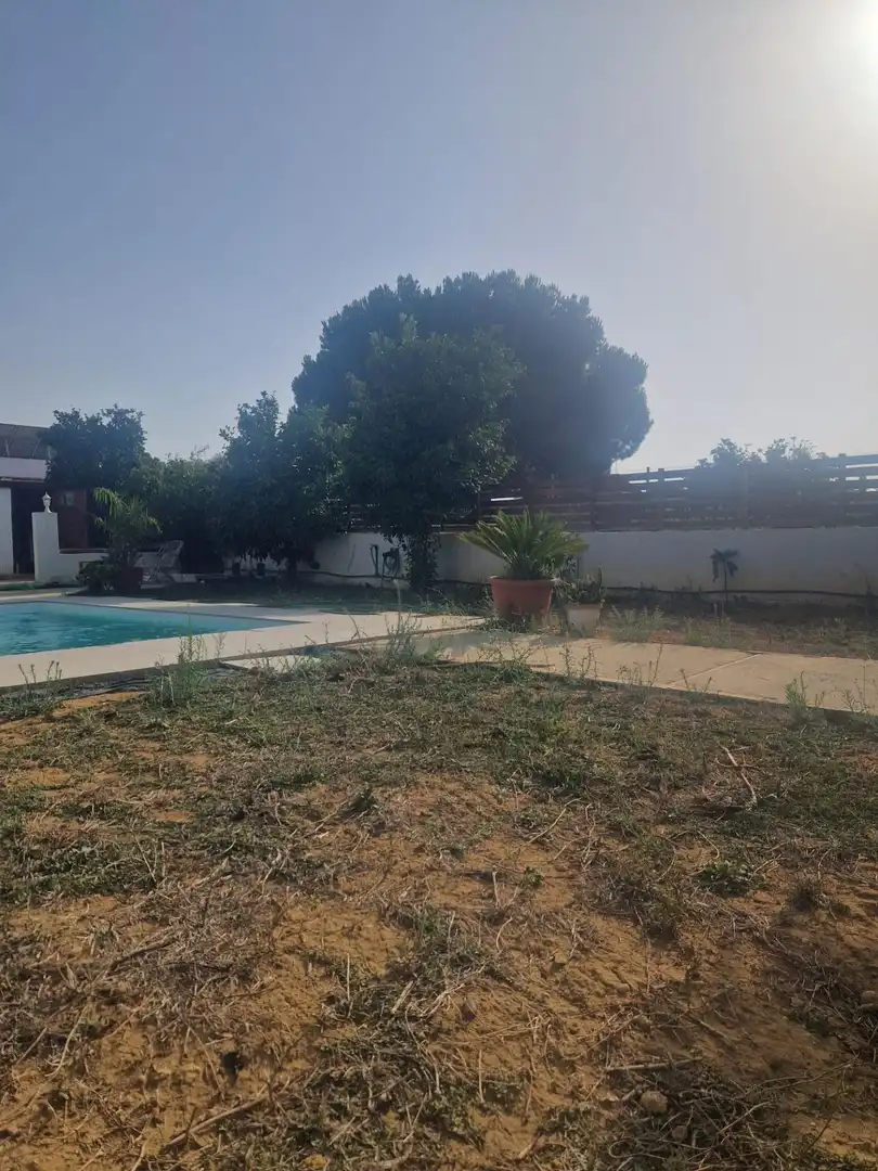 Country homes for sale in Puerto Real  with Private garden and Swimming Pool