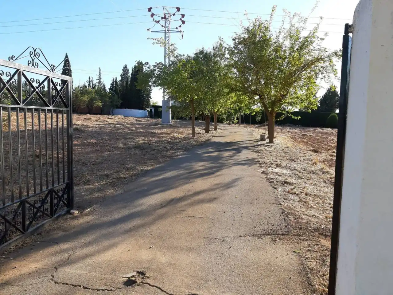 Vista exterior de Finca rústica en venta en Pozuelo de Calatrava con Aire acondicionado, Jardín privado y Terraza