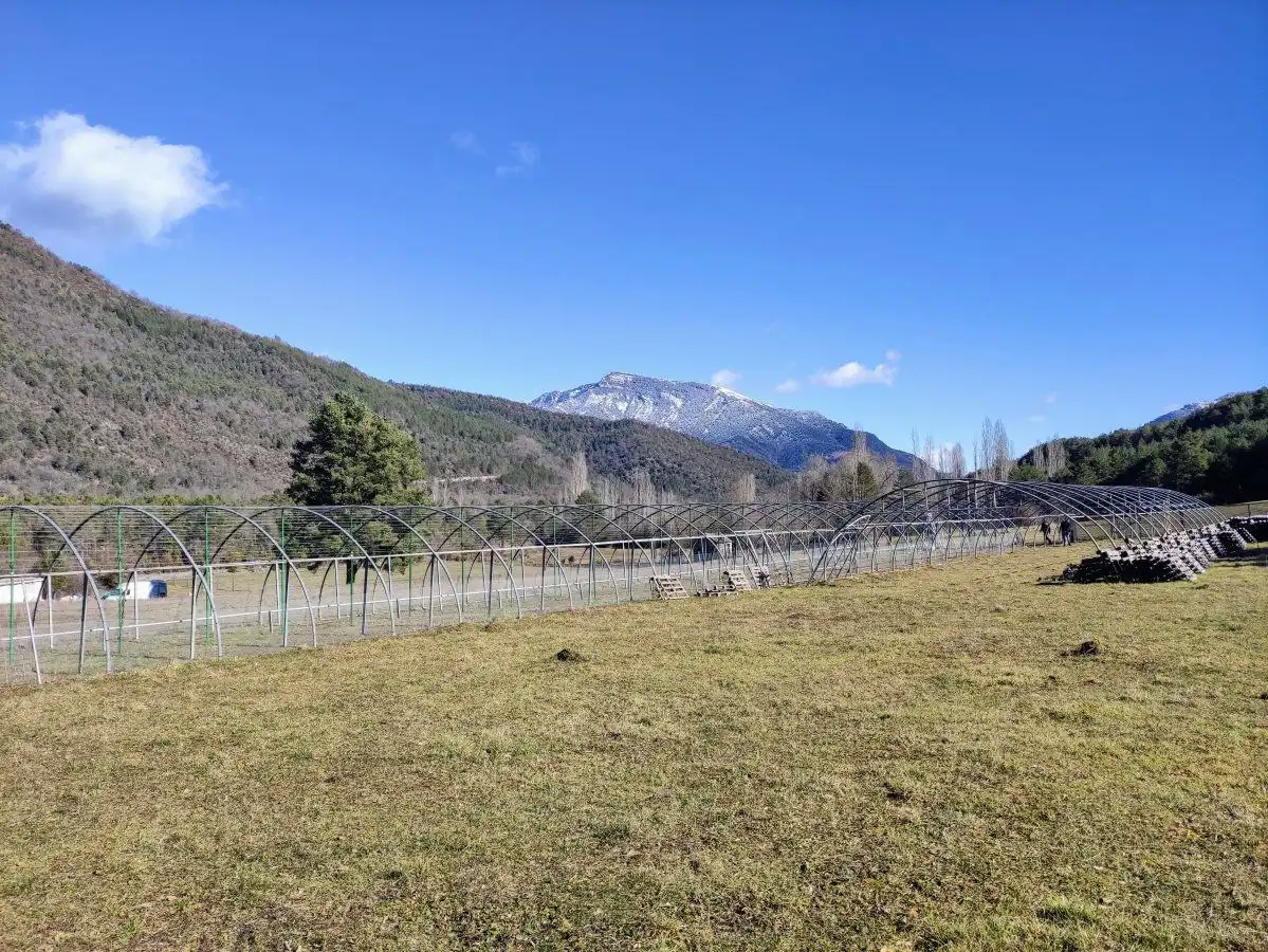 Vista exterior de Finca rústica en venda en Fiscal