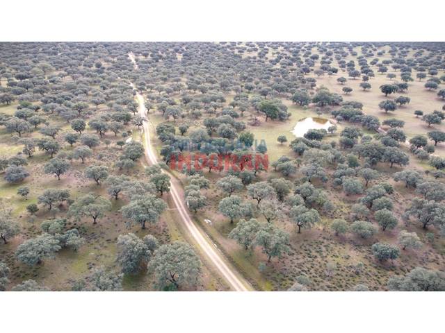 Finca rústica en Venta en Calle Corchito en Majadas