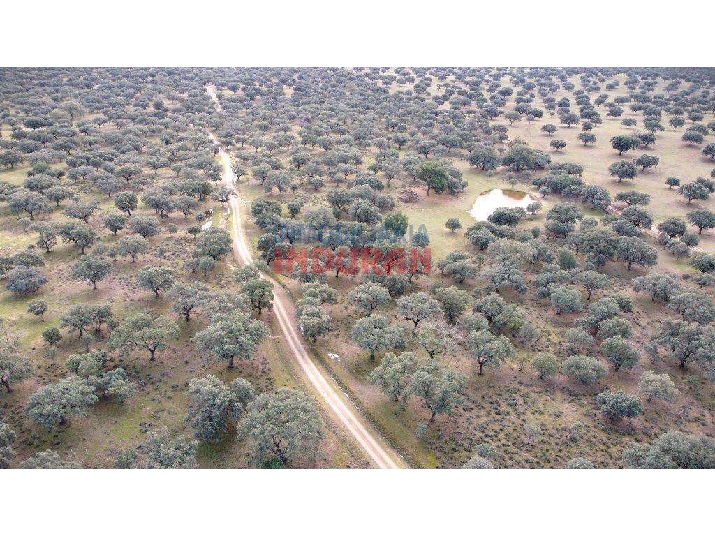 Finca rústica en venda a Calle Corchito, Majadas