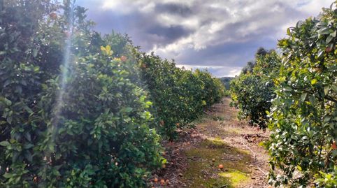 Foto 2 de Terreno en venta en Rotglà i Corbera, Valencia