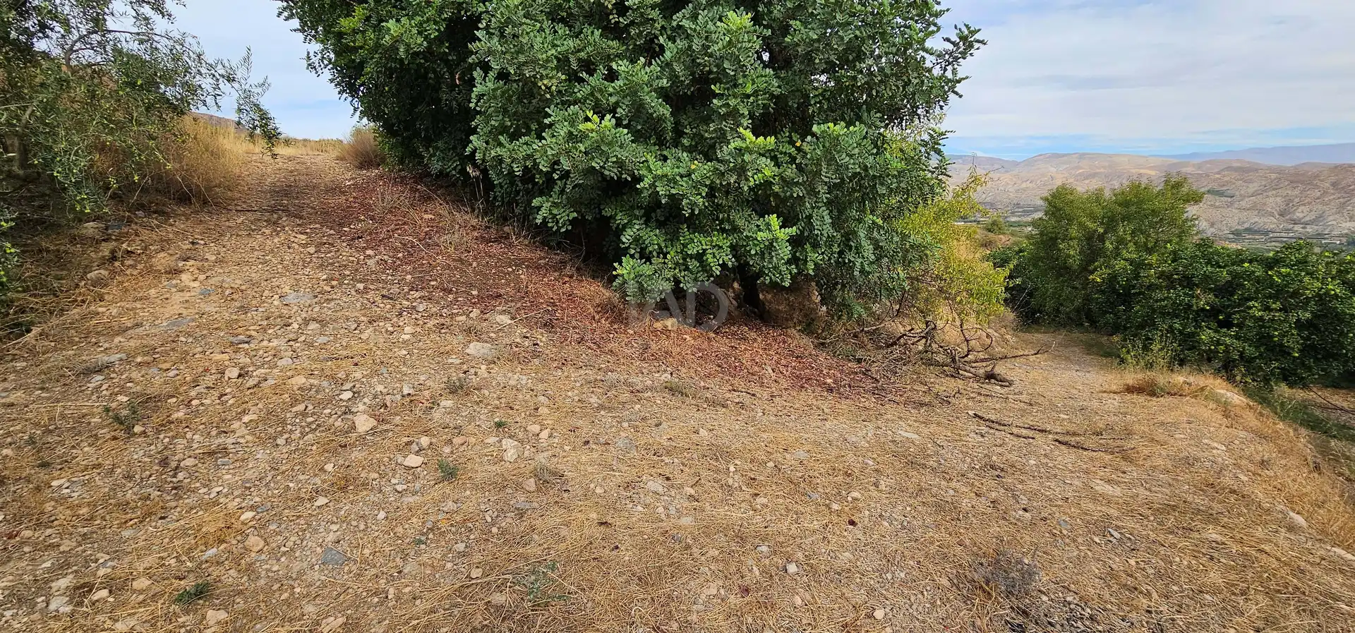 Residencial en venta en Íllar