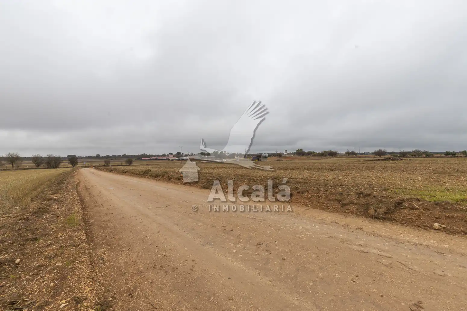 Rural land for sale in Pezuela de las Torres, imagen 29