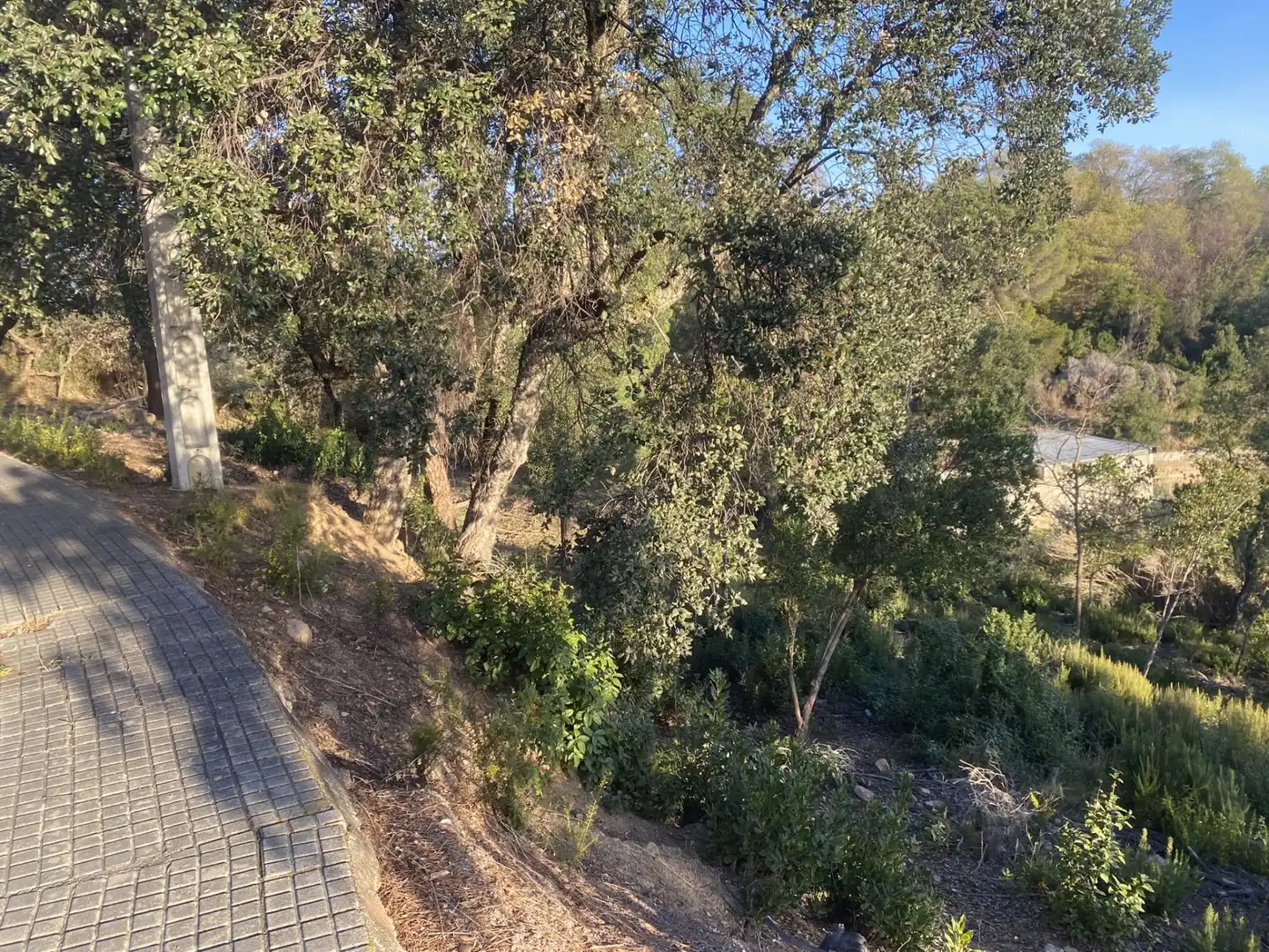 Terreno residencial en venta en Carrer Pi 7, imagen 9