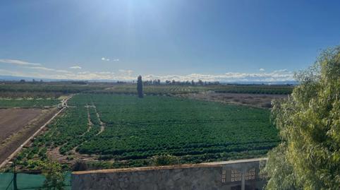 Foto 3 de Finca rústica en venda a Sollana, Valencia