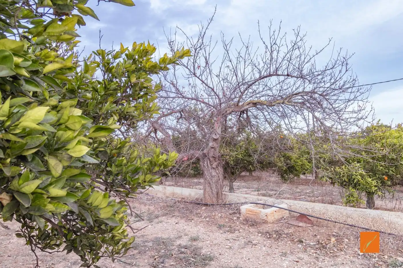 Finca rústica en venda en Masdenverge amb Calefacció, Jardí privat i Terrassa