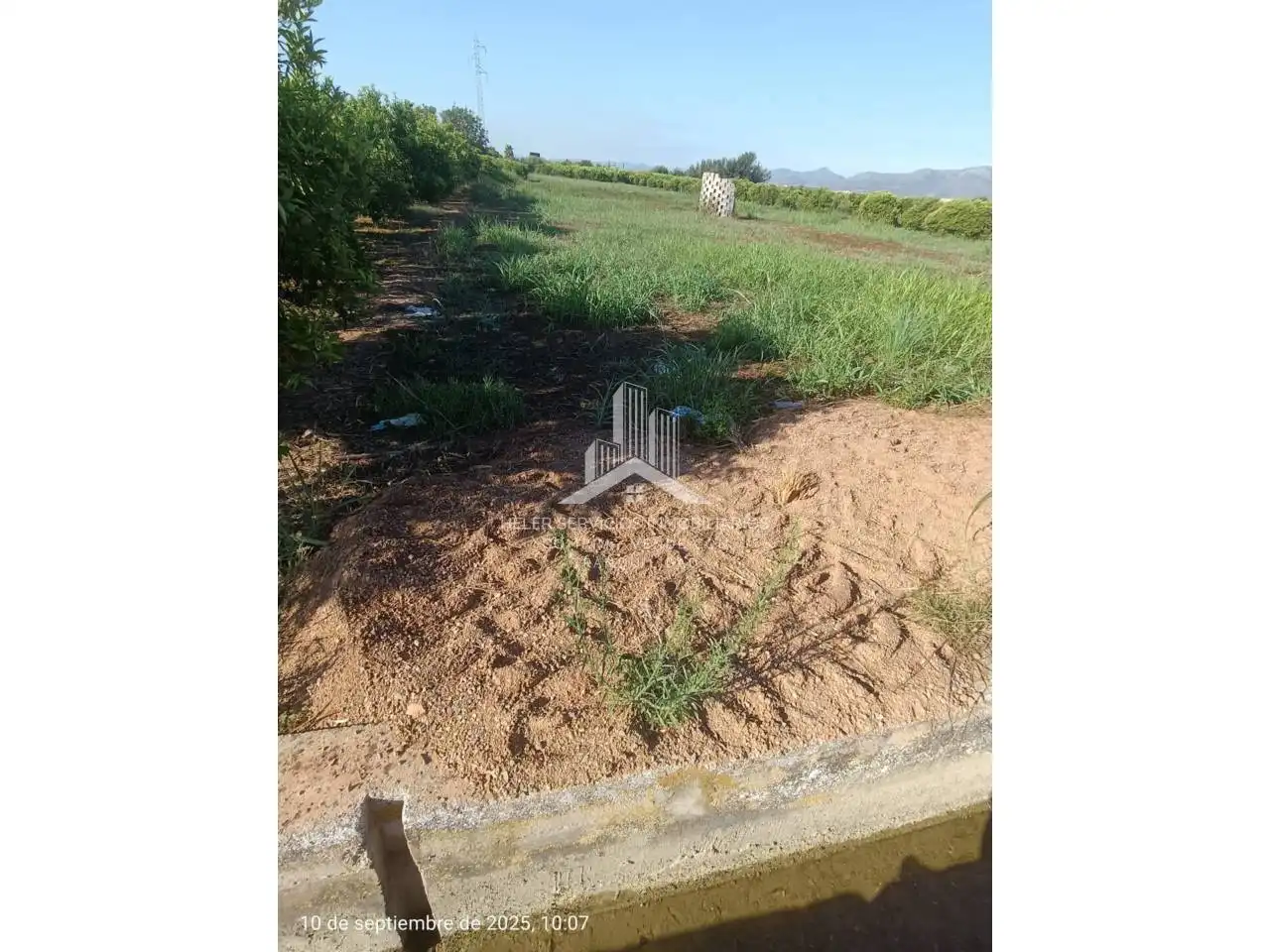 Rural land for sale in Poligono 28, imagen 7