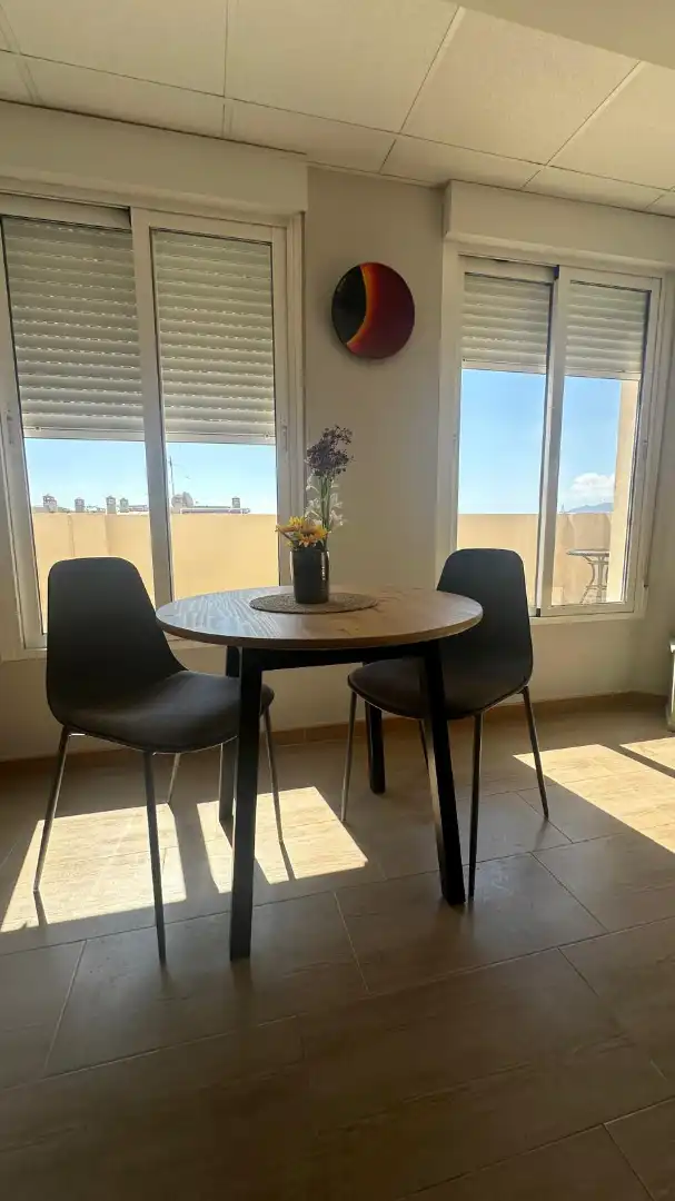Penthouse mit Terrasse zur Miete in Avenida del Doctor Manuel Domínguez 23, imagen 15