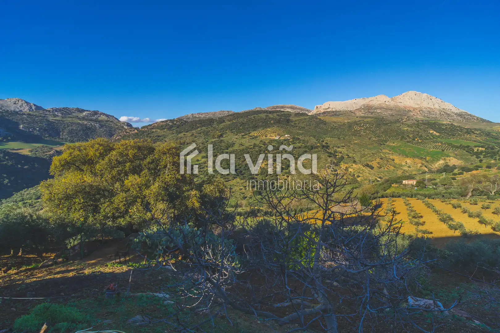 Terreni e lotti in vendita a Villanueva de la Concepción, imagen 14
