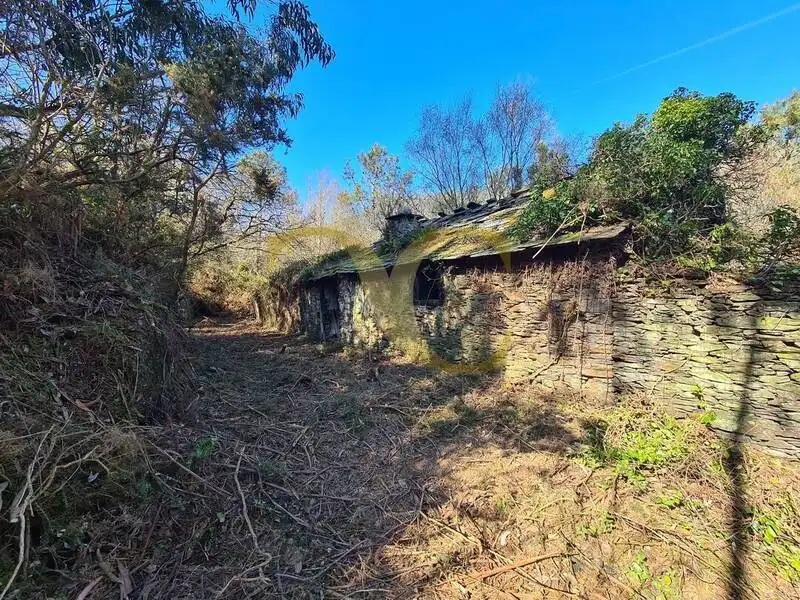 Casa o xalet en venda en Villayón amb Jardí privat