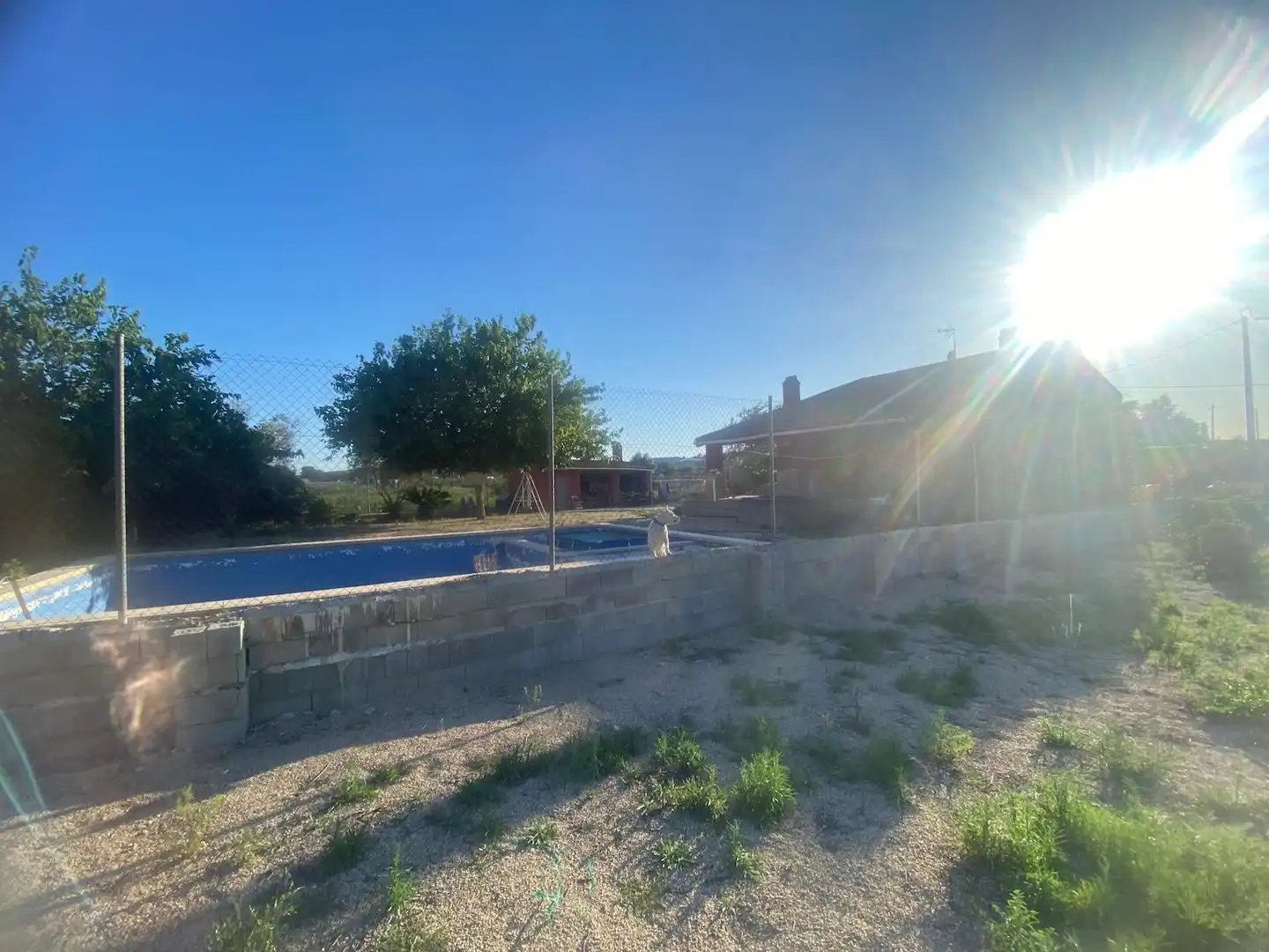 Terrenos y solares en venta en Camino la Loma, imagen 6