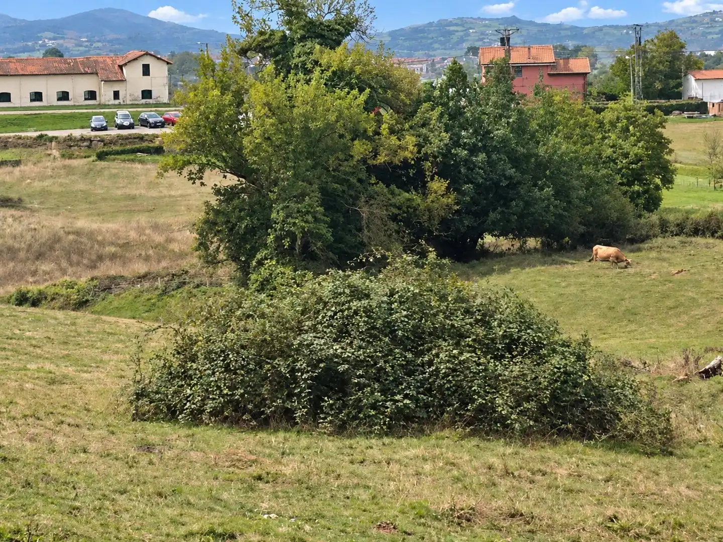 Wohnbaugrundstück zum Verkauf in La Pola de Siero 58, imagen 5