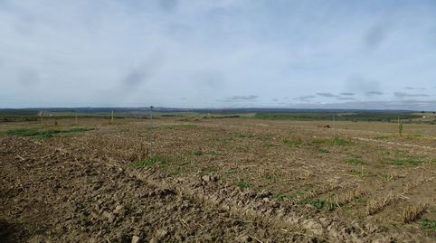 Foto 4 de Terreno en venta en Cebolla, Toledo