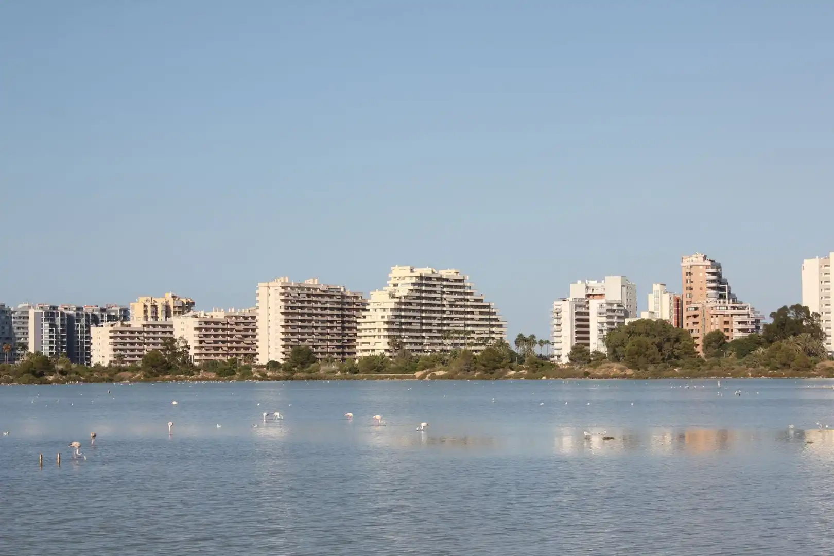 Ático con terraza en venta en Zona Levante - Playa Fossa, imagen 24