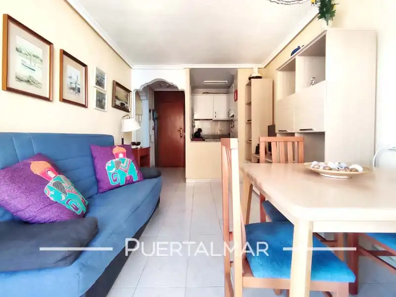 Wohnzimmer von Wohnung zur Miete in Alicante / Alacant mit Möbliert