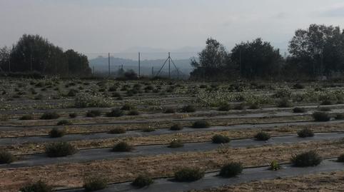 Foto 5 de Finca rústica en venda a Benigànim, Valencia