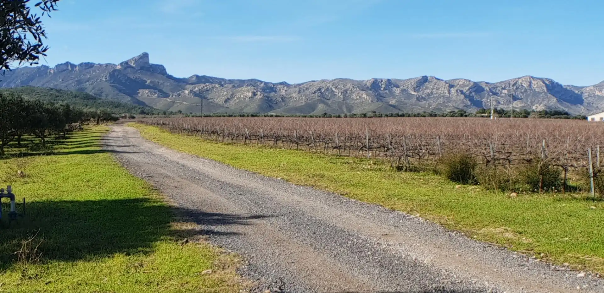 Vista exterior de Finca rústica en venta en El Perelló con Jardín privado, Terraza y Trastero