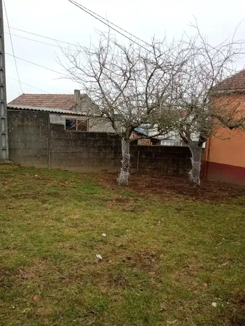 Planta baixa en venda en Mos