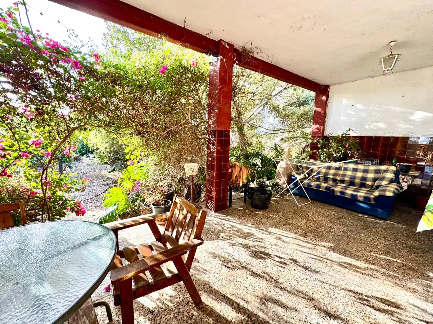 Jardí de Casa o xalet en venda en Elche / Elx amb Jardí privat i Terrassa