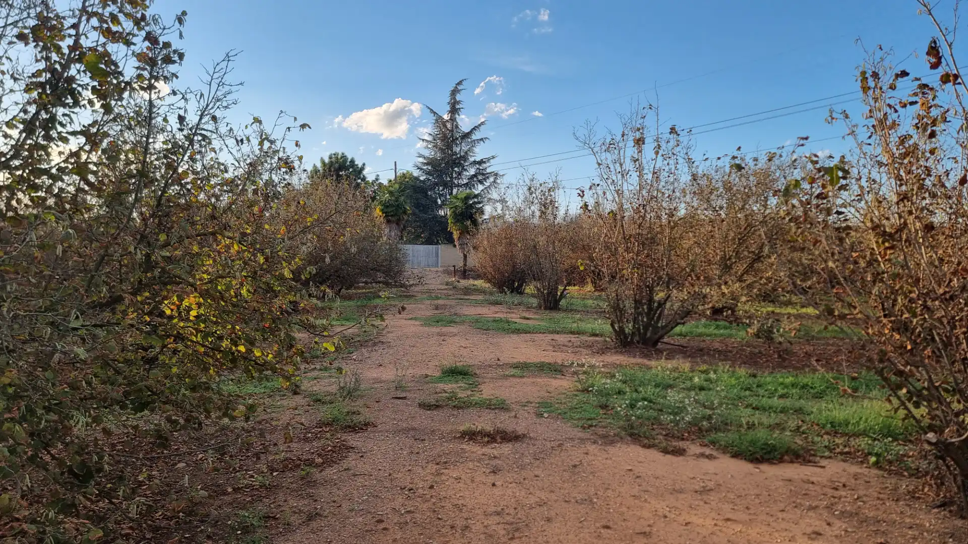 Terreno en venta en Vilallonga del Camp