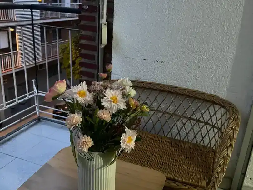 Terrasse von Wohnung zur Miete in  Madrid Capital mit Klimaanlage und Balkon