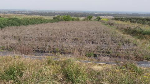 Foto 3 de Casa o xalet en venda a N/a, Moguer, Huelva