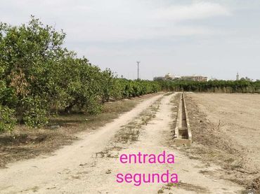 Terrenys i solars en venda a Polinyà de Xúquer