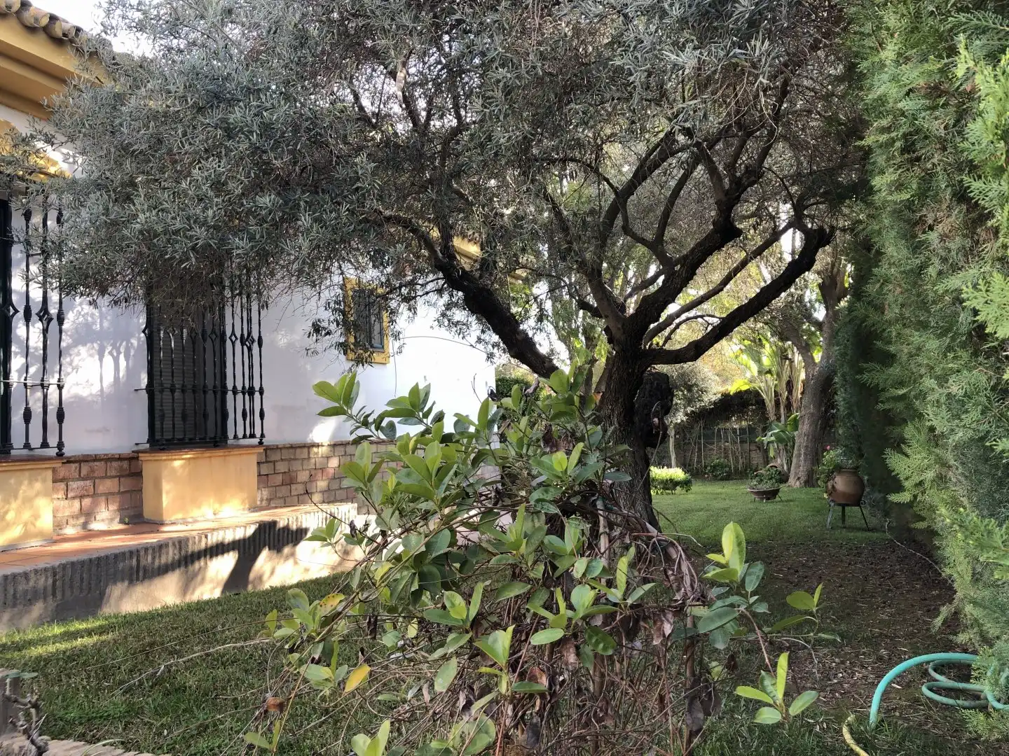 Houses for sale in Gines