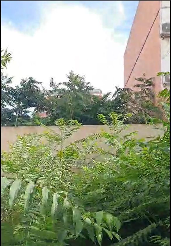 Pis en venda a La Creu Coberta