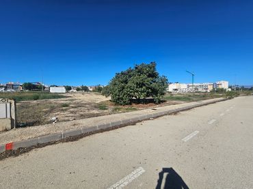 Terreno residenziale in vendita a Calle Jose Antonio Aledo Mtnez 11