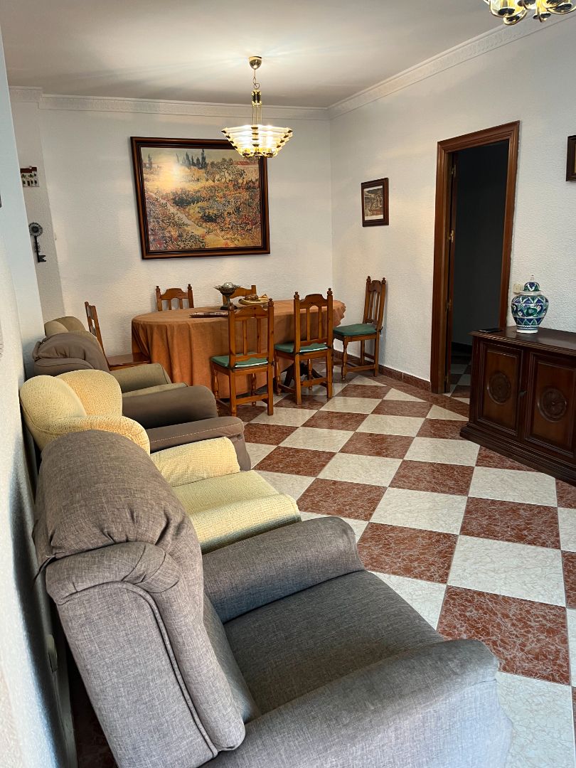 Sala de estar de Piso de alquiler en Málaga Capital con Aire acondicionado, Terraza y Amueblado